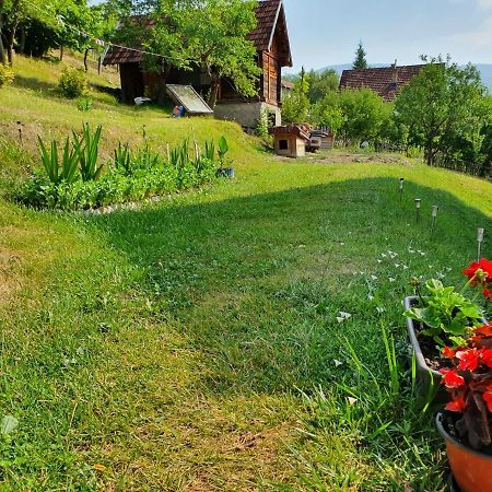 Apartman Draga Bed & Breakfast Mokra Gora Exterior photo